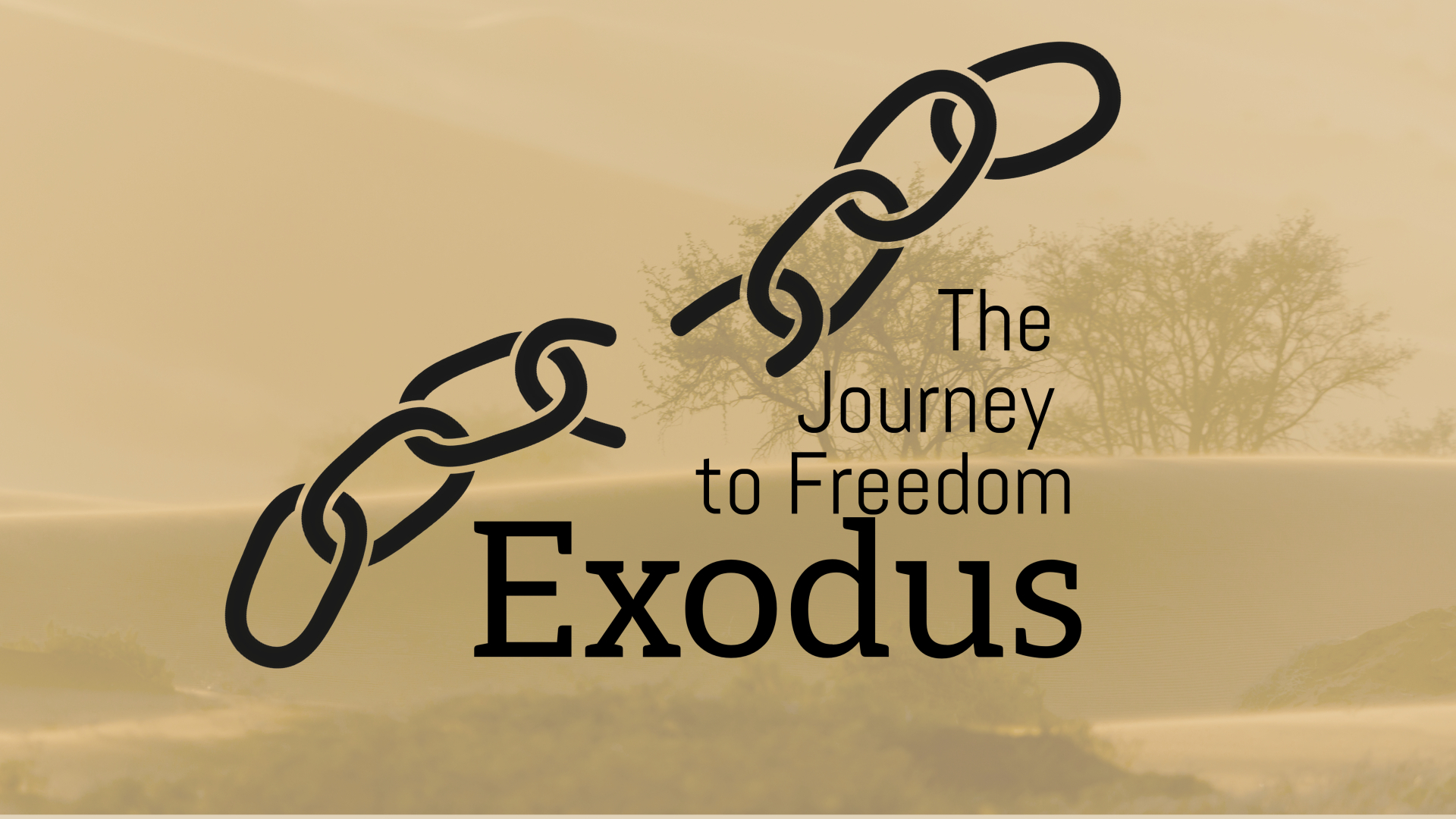 Exodus a journey to freedom